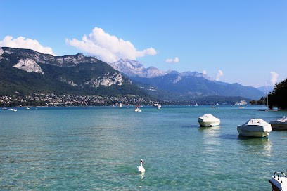 SWEET PROPERTY - Agence Immobilière, Agence Immobilière à Veyrier-du-Lac