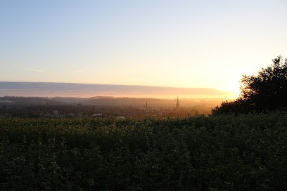 MOURREJEAU IMMOBILIER, Agence Immobilière à Marciac