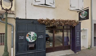 julien SAROLI, Agence Immobilière à Chaponnay