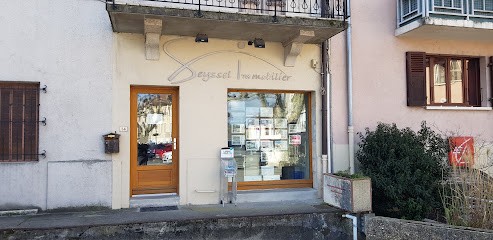 Seyssel Immobilier, Agence Immobilière à Seyssel