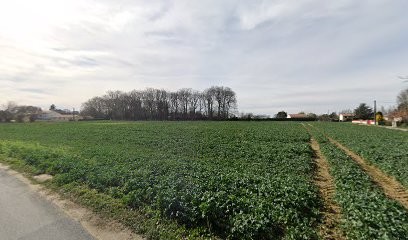 Julien Barrault Capifrance, Agence Immobilière à Saint-Julien-l'Ars