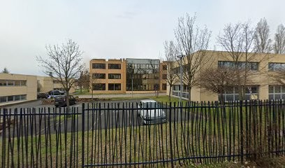 Mon Agence Lyonnaise - Agence immobilière à Saint Didier au Mont d'Or, Agence Immobilière à Saint-Didier-au-Mont-d'Or