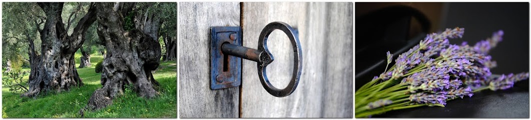 Provence Properties, Agence Immobilière à Châteauvert