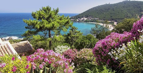 Marco Tarco Immobilier, Agence Immobilière à Conca