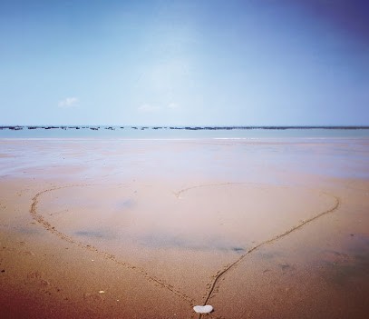 Agence des Portes de l'Océan-L'Aiguillon sur Mer, Agence Immobilière à L'Aiguillon-sur-Mer