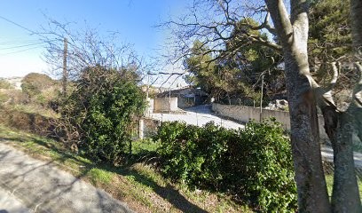 Marina Lupori - 1894 L'immobilier, Agence Immobilière à Marseille 13