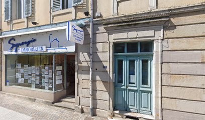 Synergie Immobilier, Agence Immobilière à Montbéliard