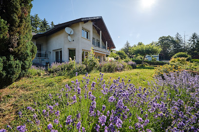 Yann Staub • Fantin Immobilier Agence Immobilière à Annecy