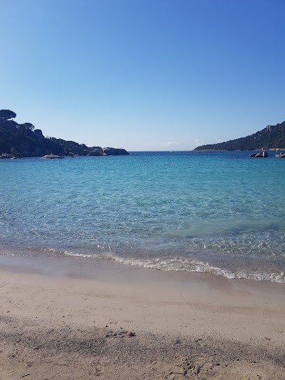 REAL SANTA GIULIA, Agence Immobilière à Porto-Vecchio