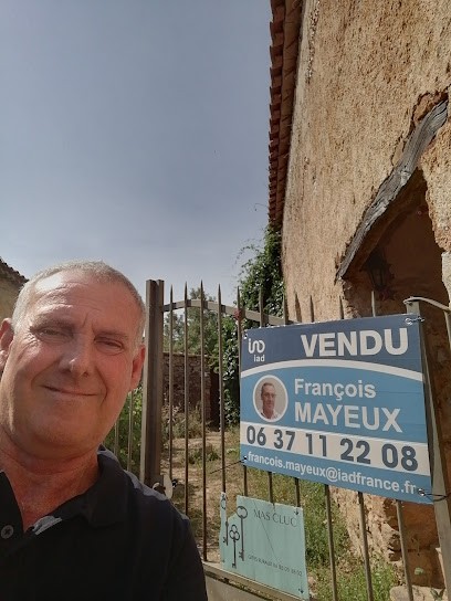 Francois Mayeux Immobilier Iad, Agence Immobilière à Toulouges
