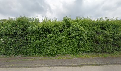 AUBIS' Immobilier, Agence Immobilière à Lunéville