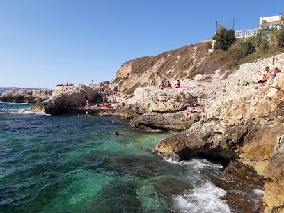 Menibus & Associes, Agence Immobilière à Marseille 07