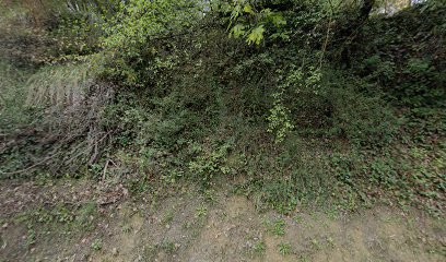 isabelle taillefer immobilier, Agence Immobilière à Contes