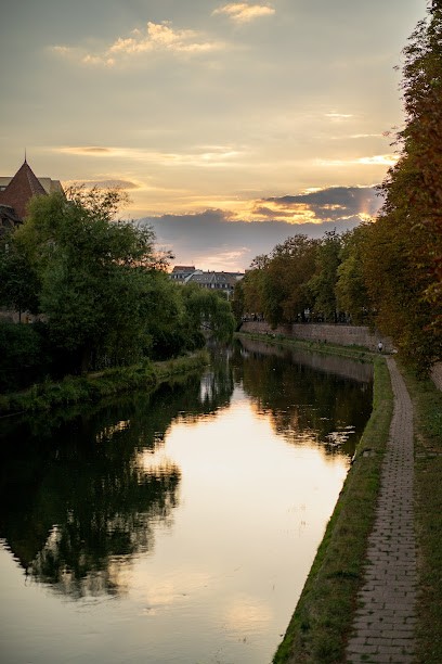 IMMO MAXX, Agence Immobilière à Holtzheim