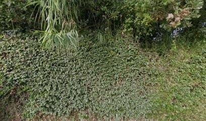 AGIM, Agence Immobilière à Cogolin