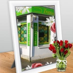 Transaxia VATAN, Agence Immobilière à Vatan