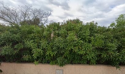 CENTURY 21, Agence Immobilière à Maureillas-las-Illas