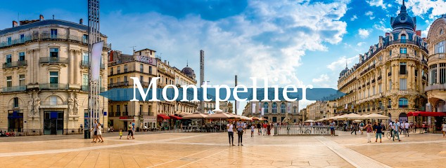 Christophe DELRIVE - iad France, Agence Immobilière à Lattes