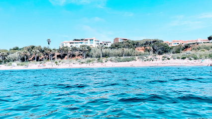 Céline Musolino Agence Immobilière à Six-Fours-les-Plages
