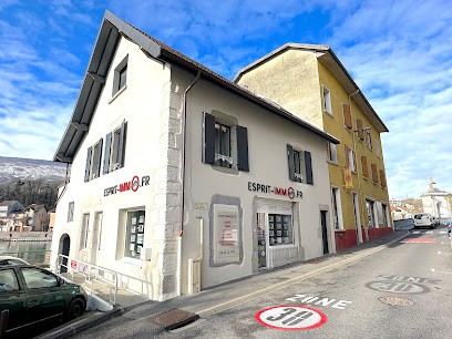 Agence ESPRIT IMMOBILIER SEYSSEL, Agence Immobilière à Seyssel