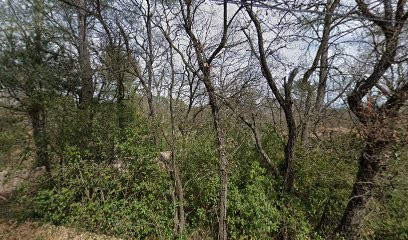 PAQUET INVEST, Agence Immobilière à Draguignan