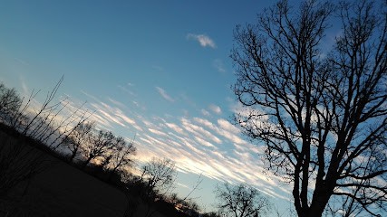 Aveyron Search & Service, Agence Immobilière à La Capelle-Balaguier