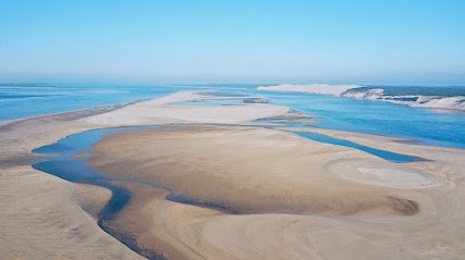 Atlantique Immo, Agence Immobilière à Gujan-Mestras