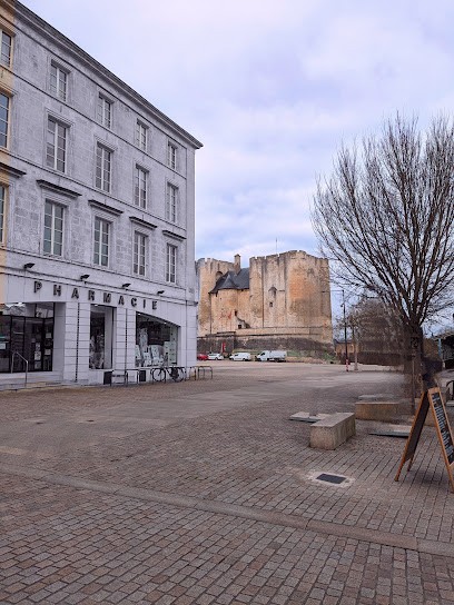 Eric Pluta conseiller immobilier indépendant (EI), Agence Immobilière à Mauzé-sur-le-Mignon