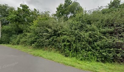 Bazile Thobie Monique Marie Annie, Agence Immobilière à Savenay