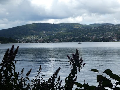 PIMS Immobilier, Agence Immobilière à Gérardmer