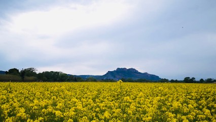 Fabret Cyril IAD - Conseiller en immobilier, Agence Immobilière à Puget-sur-Argens