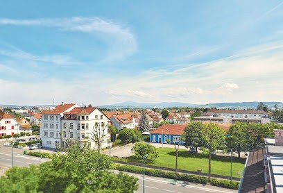 IDZ, Agence Immobilière à Hésingue