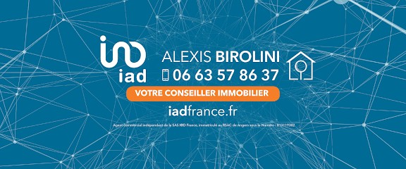 BIROLINI ALEXIS Iad Immobilier - LA RICHE / SAINT-GENOUPH, Agence Immobilière à La Riche