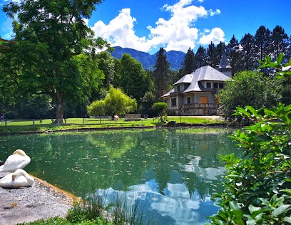 Faucigny Immobilier, Agence Immobilière à Saint-Pierre-en-Faucigny