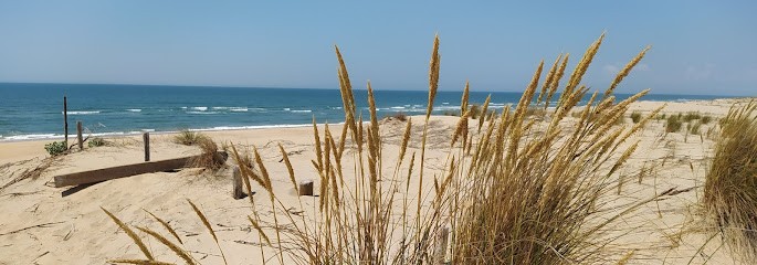 Real Estate Agency Europ'Atlantique, Agence Immobilière aux Mathes