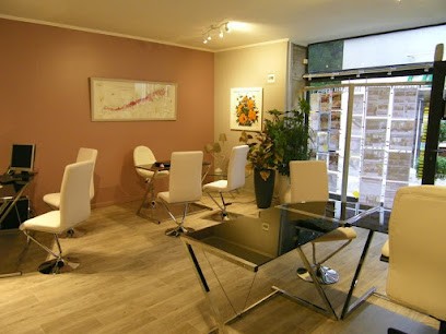 AGENCE DES DUCS, Agence Immobilière à Gevrey-Chambertin