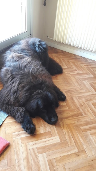 Resid les Rives D Allier, Agence Immobilière à Cournon-d'Auvergne