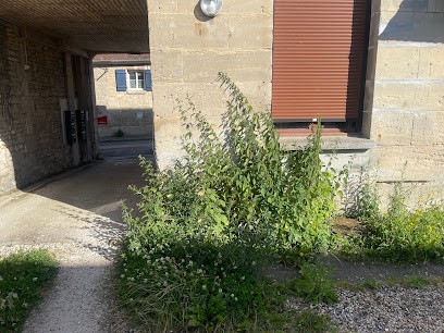 Kyaneos Gestion, Agence Immobilière à Orange