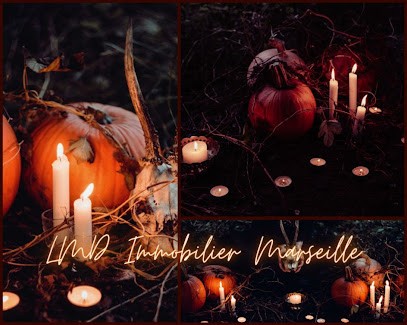 Boulay Laurent LMD IMMOBILIER, Agence Immobilière à Marseille 07