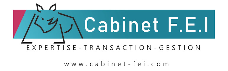 Cabinet F.e.i - Laetitia Maréchal - Agent Immobilier Agence Immobilière à Rocbaron