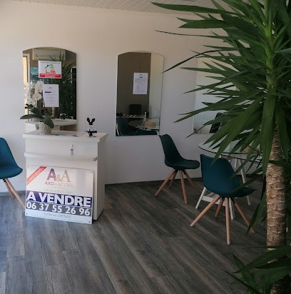 Axo et Actifs, agence immobilière Catherine C. CHENAIS Le Landreau, Agence Immobilière au Landreau