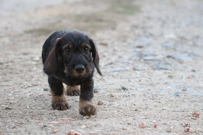 Ferme De La Garenne, Agence Immobilière à Cherveix-Cubas
