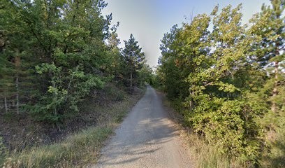 Immonext.com, Agence Immobilière à Ventavon