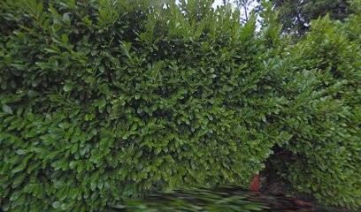 AgriTerres, Agence Immobilière à Couzon-au-Mont-d'Or