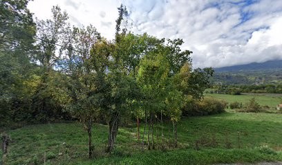 Masse, Agence Immobilière à Châteauvieux