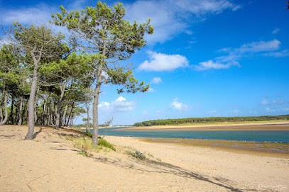 AGENCE DR HOUSE IMMO - CONCIERGERIE B.E IMMOBILIER, Agence Immobilière à Talmont-Saint-Hilaire