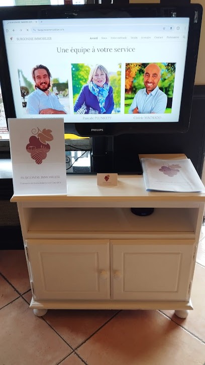 Burgondie Immobilier - Transactions Immobilières en Côte d'Or, Agence Immobilière à Châtillon-sur-Seine