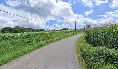 immo-D-îles, Agence Immobilière à Sévignacq-Meyracq