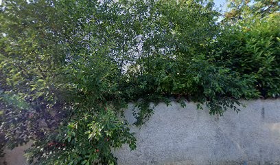 Annika PARAIK, Agence Immobilière à Civrieux