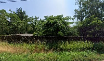 Anaïs Moreau IAD immobilier Les Ponts-de-Cé, Agence Immobilière aux Ponts-de-Cé